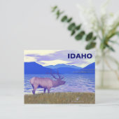 Wapiti (Elk) am See Postkarte (Stehend Vorderseite)