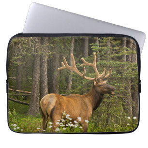 Wapiti-Hirsch im Samt, Kanada Laptopschutzhülle