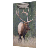 Wapiti-Hirsch Klemmbrett (Links)