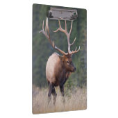 Wapiti-Hirsch Klemmbrett (Rechts)