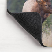 Wapiti-Hirsch Mousepad (Ecke)