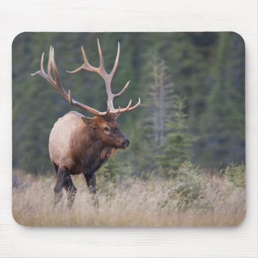 Wapiti-Hirsch Mousepad (Vorne)
