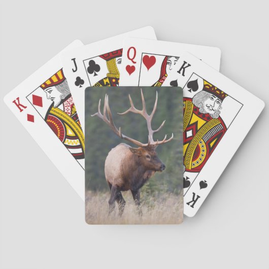 Wapiti-Hirsch Spielkarten (Rückseite)