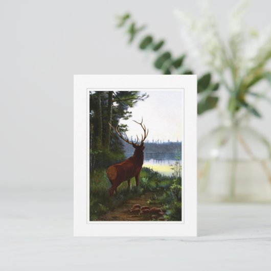 Wapiti oder Elk Postkarte (Stehend Vorderseite)