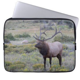Wapiti Rocky National Park, Colorado Laptopschutzhülle
