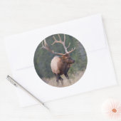 Wapiti Runder Aufkleber (Umschlag)
