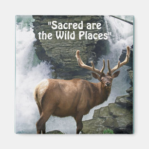 Wapiti & Waterfall Wilderness Geschenk Magnet
