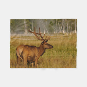 Wapiti   Yellowstone National Park Fleecedecke