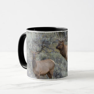 Wapitistier Yellowstone-Nationalpark, Wyoming Tasse