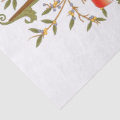 Wappen Australiens Seidenpapier (Detail)