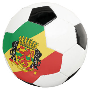 Wappen der Republik Kongo Fußball