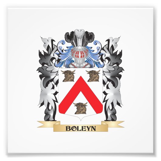 Wappen - Familienwappen Fotodruck (Vorne)