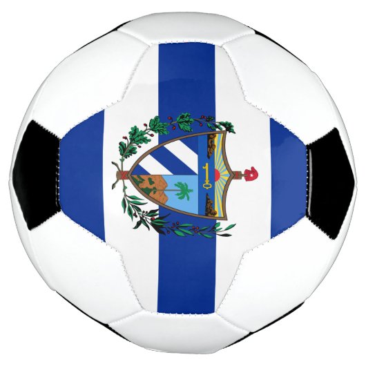 Wappen Fußball (Gedreht)