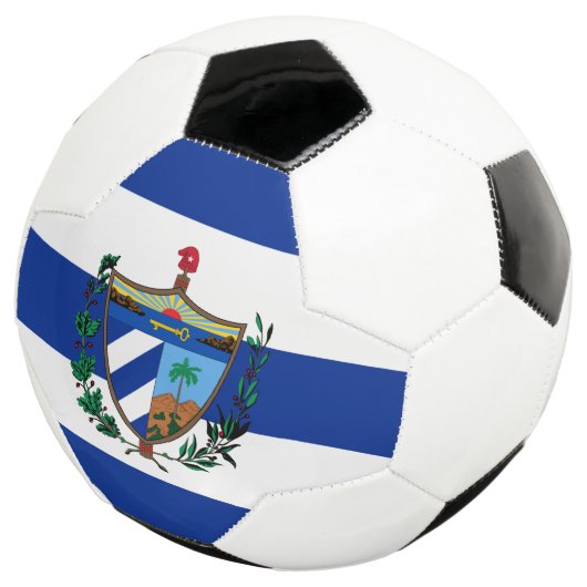 Wappen Fußball (Dreiviertel)