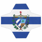 Wappen Fußball (Flach)