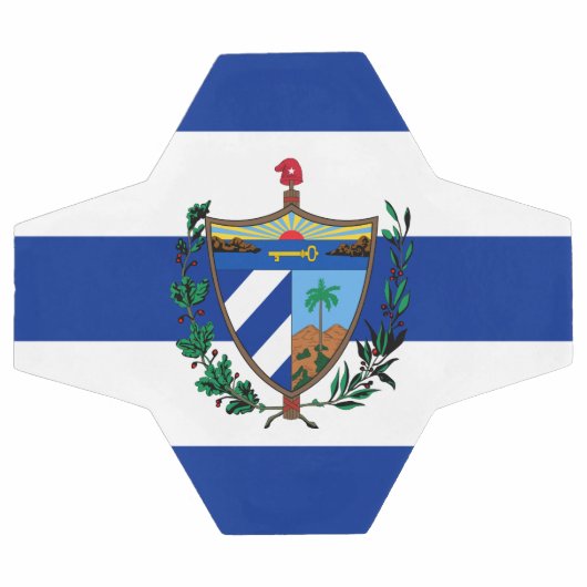 Wappen Fußball (Flach)