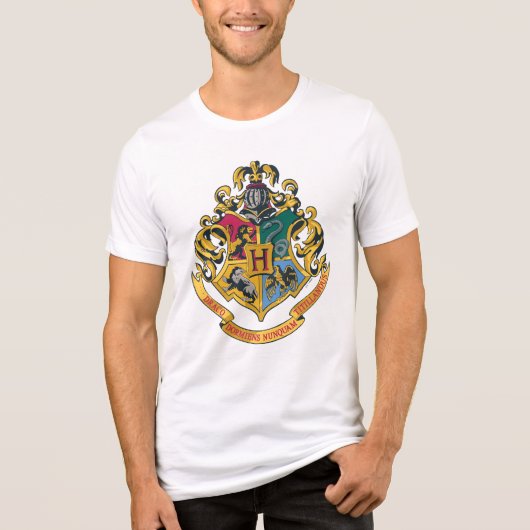 Wappen Harry Potter | Hogwarts - farbenreich Tri-Blend Shirt (Vorderseite)