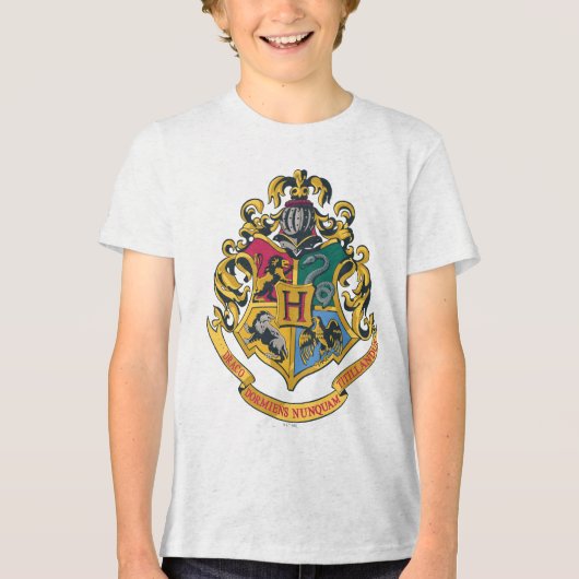 Wappen Harry Potter | Hogwarts - farbenreich Tri-Blend Shirt (Vorderseite)