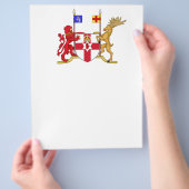 Wappen Nordirlands Flyer (Hand)