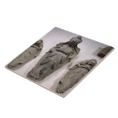 Wappen von der Vecchietti Familie (Stein) Fliese (Seite)