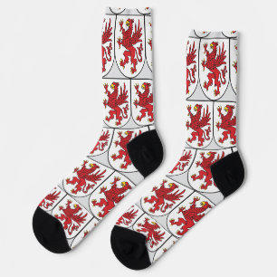 Wappen von Pommern Majestätischer Greif Art Socken