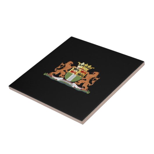 Wappen von Rotterdam Fliese (Seite)