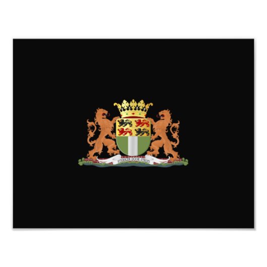 Wappen von Rotterdam Fotodruck (Vorne)
