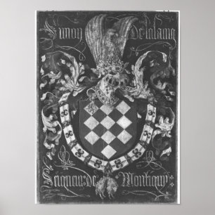 Wappen von Simon de Lalaing Poster