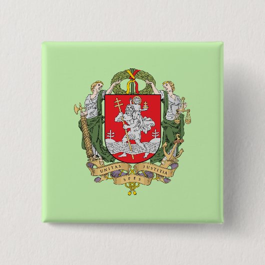 Wappen von Vilnius, Litauen Knopf Button (Vorderseite)