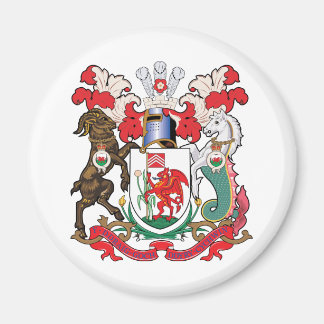 Wappenmantel Magnet