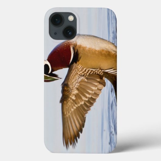 Wappschwingen aus Holzente in Feuchtgebieten Case-Mate iPhone Hülle (Rückseite)
