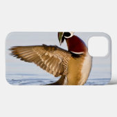 Wappschwingen aus Holzente in Feuchtgebieten Case-Mate iPhone Hülle (Rückseite (Horizontal))