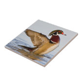 Wappschwingen aus Holzente in Feuchtgebieten Fliese (Seite)