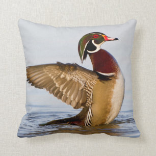 Wappschwingen aus Holzente in Feuchtgebieten Kissen