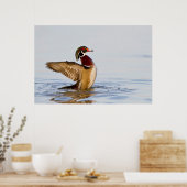 Wappschwingen aus Holzente in Feuchtgebieten Poster (Küche)