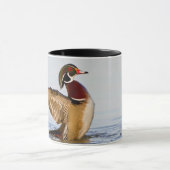 Wappschwingen aus Holzente in Feuchtgebieten Tasse (Zentrum)