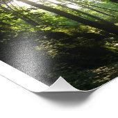 Wapsipinicon Forest Fotodruck (Ecke)