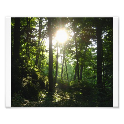Wapsipinicon Forest Fotodruck (Vorne)
