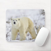 Wapusk National Park, Kanada. Mousepad (Mit Mouse)