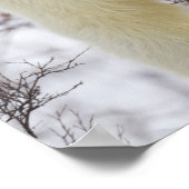 Wapusk National Park, Kanada. Poster (Ecke)