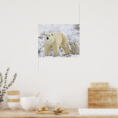 Wapusk National Park, Kanada. Poster (Küche)