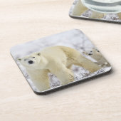 Wapusk Nationalpark, Kanada Untersetzer (Linke Seite)