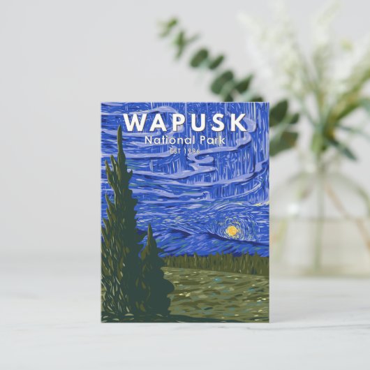 Wapusk Nationalpark Nordlichter Vintag Postkarte (Stehend Vorderseite)