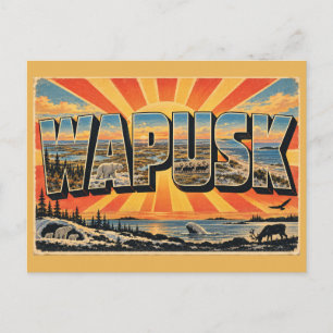 Wapusk-Nationalpark Tundra Eisbär Kunst Postkarte