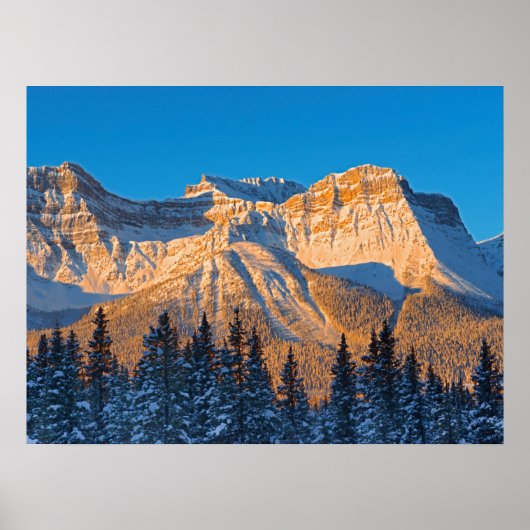 Waputik Range in den kanadischen Rocky Mountains Poster (Vorne)