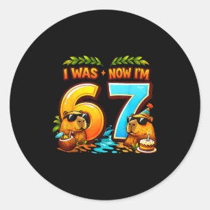 War 6 7 Geburtstag 67 Meme Capybara Kinder Jungen  Runder Aufkleber