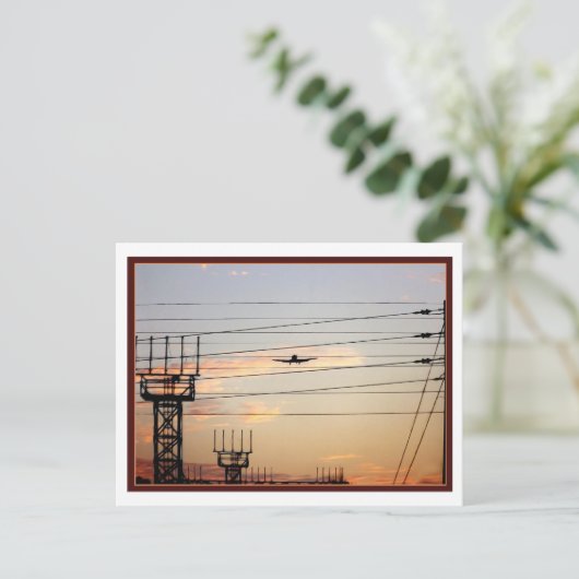 War Bird Postkarte (Stehend Vorderseite)