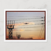 War Bird Postkarte (Vorderseite)