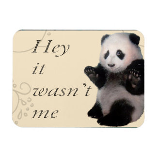 War nicht ich Panda Magnet