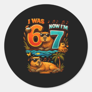 War sechs sieben 6 7 Capybara 67 Meme 7. Geburtsta Runder Aufkleber
